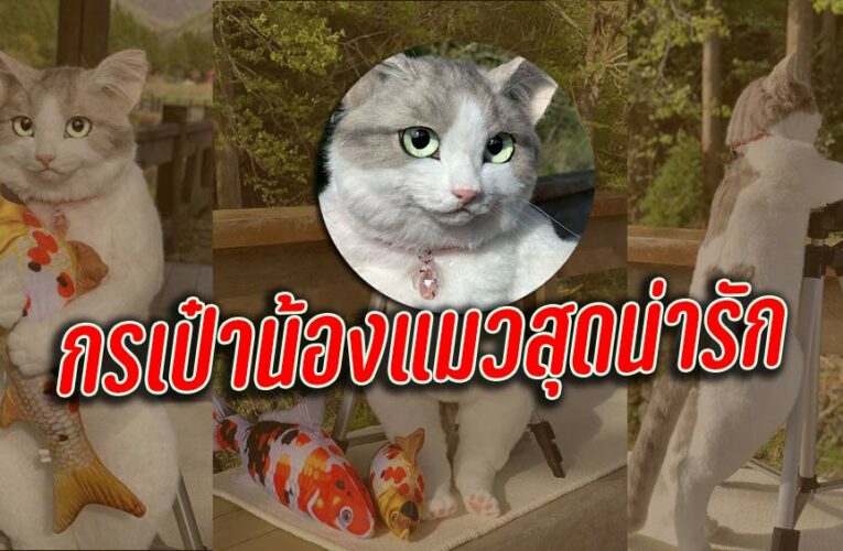 กระเป๋าแมวสุดน่ารัก จาก 猫制作pico เหมือนแมวจริงมากสุดยอดฝีมืองานแฮนเมค