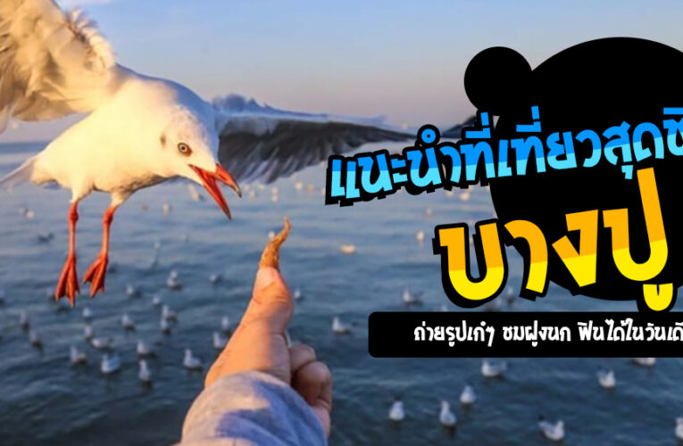 แนะนำที่เที่ยวสุดชิว สถานตากอากาศบางปู ถ่ายรูปเก๋ๆ ชมฝูงนก ฟินได้ในวันเดียว